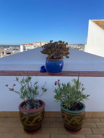 Casa Alegria - Ocean View Apartment - Centre Lagos Eksteriør billede